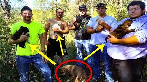 They Were Having A Bachelor Party In The Woods When A Starving Stray Came And Asked Them For