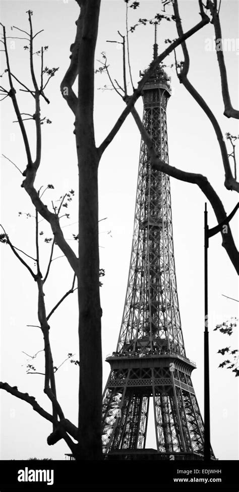 Eiffel Tower View In Paris Through The Branch Of Trees Stock Photo Alamy