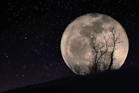 Dark Moon Photograph By Numbersix