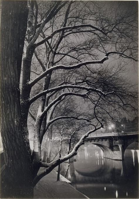 Brassaï Trees And The Pont Neuf Paris France 1945 Brassai Photo