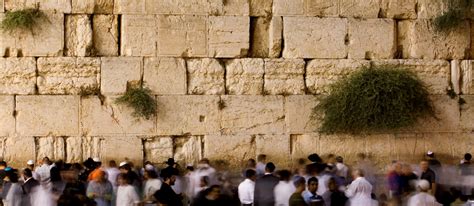כתבים אודות הכותל המערבי, הקרן למורשת הכותל וסיפור מקומי. גלריית תמונות של הכותל המערבי | מסגרת
