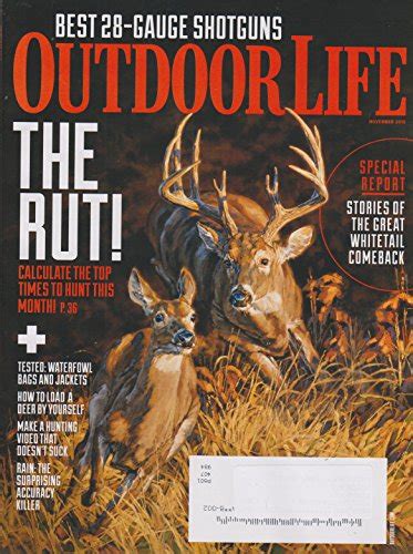 Our Best Time To Hunt The Rut Top 10 Picks Maine Innkeepers Association