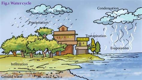 Diagram Explain Water Cycle With Diagram For Class 7 Mydiagramonline
