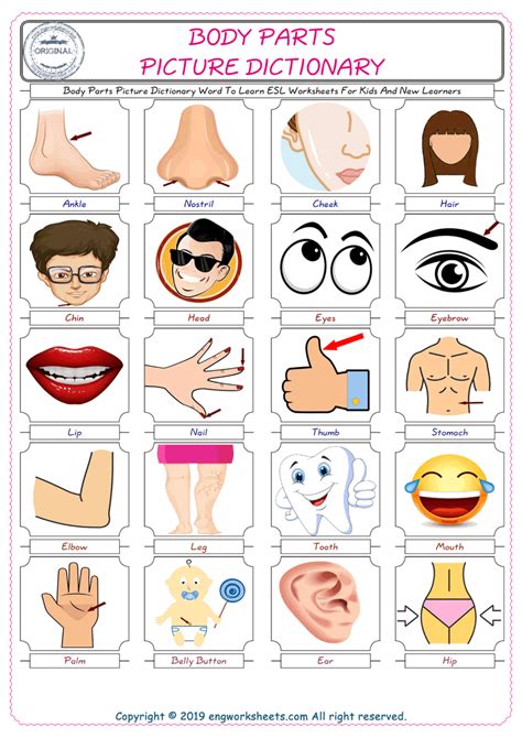 Take a game twister and stick pictures or words of body parts on the circles. Free ESL Printable Body Parts English Worksheets and Exercises For Kids