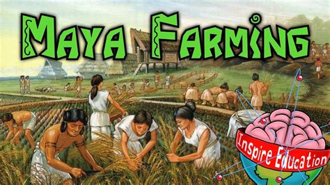 Maya Farming Youtube