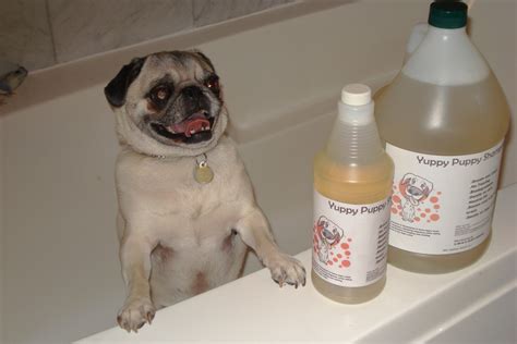 Yuppy puppy dog shampoo