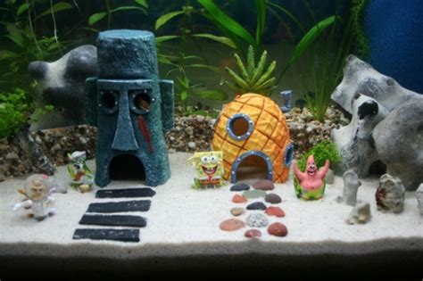 How To Decorate Your Boring Fish Tank Pouted Magazine