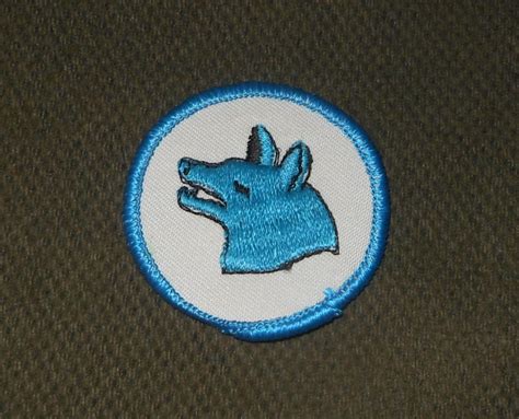 Fabulous Fourth Flag Boy Scout Wolf Patrol Patch Circa 1980s