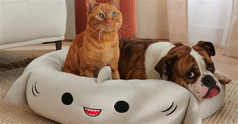 Restocked Squishmallow Pet Beds On Amazon The Freebie Guy
