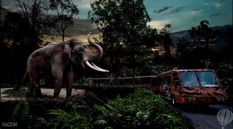Singapore Night Safari Tickets A Multi Sensory Wildlife Adventure Klook