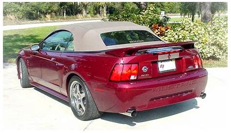2004 ford mustang special edition
