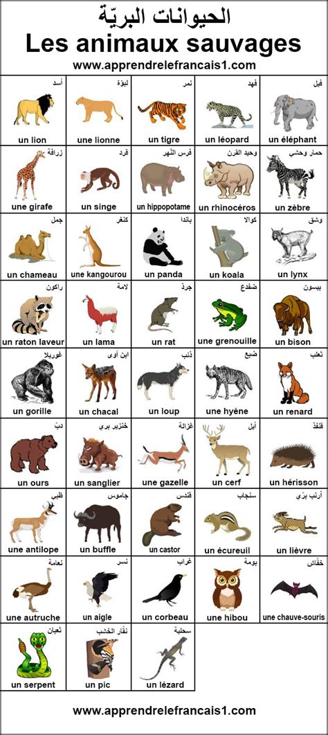 اسماء الحيوانات بالفرنسية بالصوت والصورة