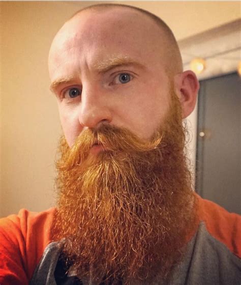 See This Instagram Photo By Beard4all • 2780 Likes Bald With Beard
