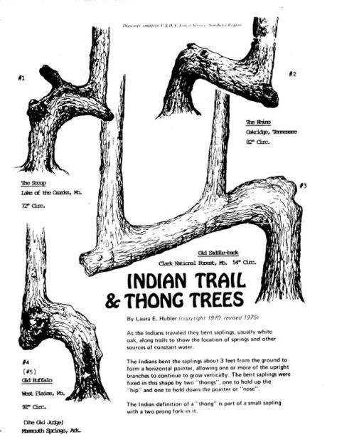 35 Trail Marker Trees Ideas In 2021 Indian Trails Native American