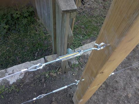You could trellis regular apple trees, but penhallegon says you'll literally be pruning them every week because. Pin on Espalier