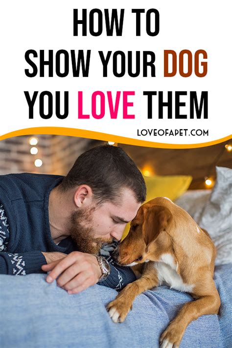 If your cat rubs their face against your face, this is an indication of love from them as well; How to Show Your Dog You Love Them: 10 Ways - Love Of A ...