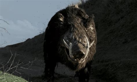 28 681 просмотр • 4 дек. Trailer A Massive Pig Goes on a Murderous Rampage in ...