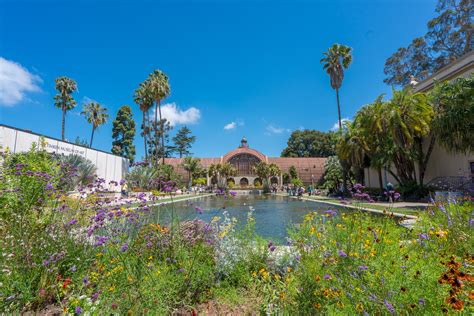 Top 15 Things To Do In Balboa Park La Jolla Mom