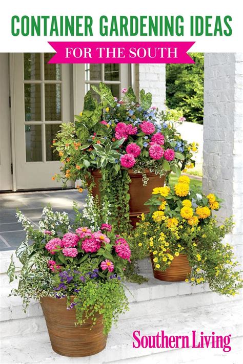 389 Best Container Gardens Images On Pinterest Gardening