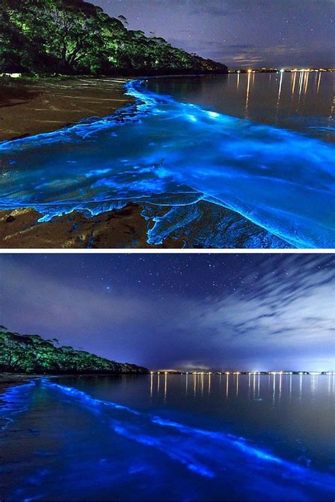 15 Of The Worlds Most Unique And Awesome Beaches Bioluminescent Bay