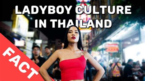 Thailand Ladybabe Facts You Never Knew About Ladybabe Culture In Thailand YouTube