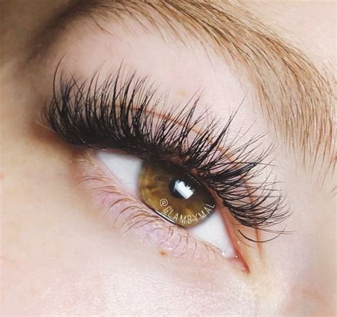 Light Wispy Hybrid Lashes A Mix Of Classic And Volume Extensions For