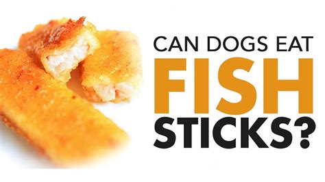 Can Dogs Eat Fish Sticks Youtube