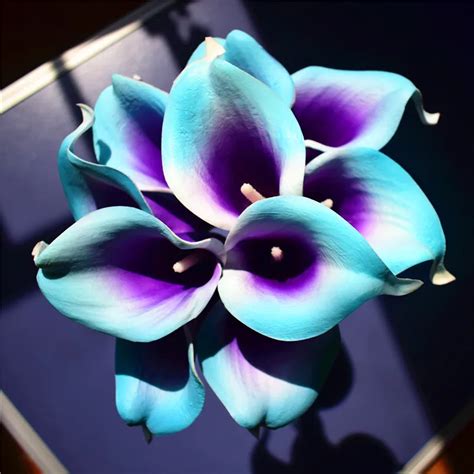 Turquoise Blue Picasso Calla Lily Real Touch Calla Lilies Diy
