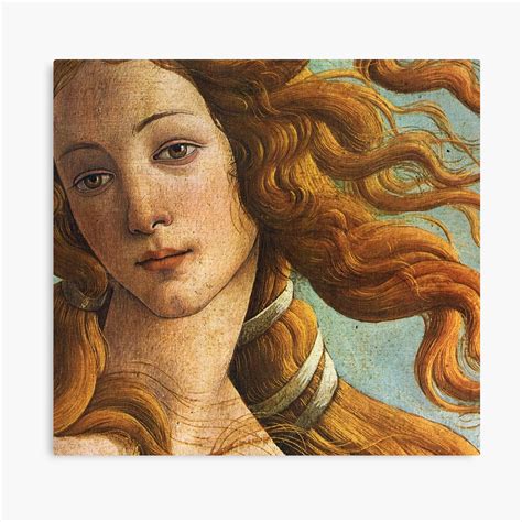 Birth Of Venus Botticelli Canvas Print By Newnomads Redbubble