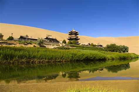 The Amazing Oasis Of Mongolian Gobi Dessert Buzzer