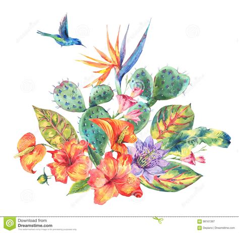 Watercolor Cactus Tropical Flowers Hummingbird Stock