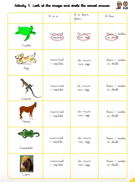 Animals classification activity