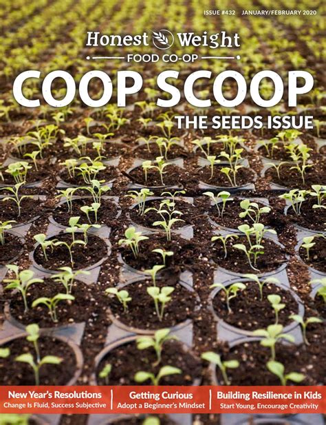Want to know more about working here? Honest Weight Coop Scoop: The Seed Issue by Honest Weight ...