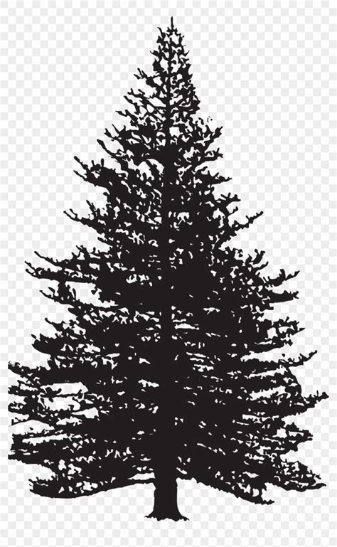 Clip Art Pine Tree Silhouette 20 Free Cliparts Download Images On