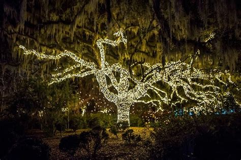 Brookgreen gardens is a sculpture garden and wildlife preserve, located just south of murrells inlet, in south carolina. Brookgreen Gardens - Murrells Inlet, South Carolina