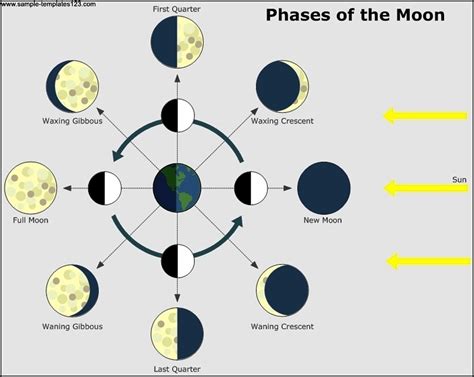 Phases Of The Moon Template