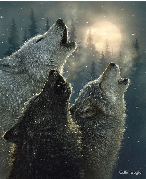 This Facts About Wolves Howling At The Moon Pictures Feel Free To