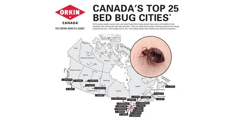 Be the first to write a review. CNW | Toronto is the Capital of Canada for Bed Bugs