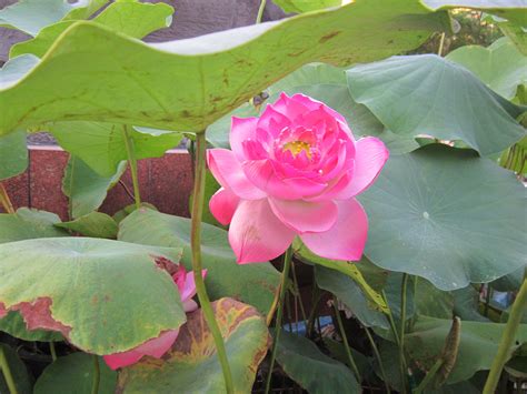 Maybe you would like to learn more about one of these? Pin on Vietnam