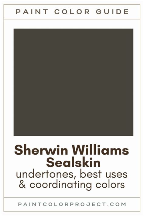 Sherwin Williams Sealskin A Complete Color Review The Paint Color