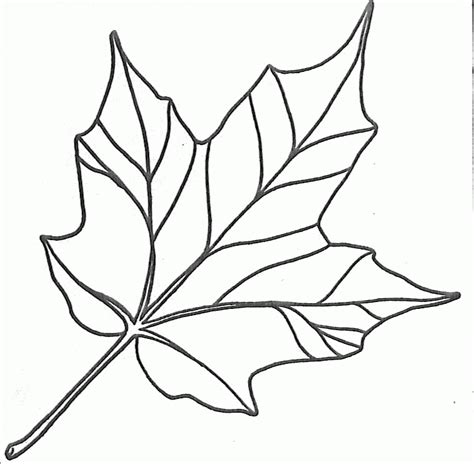 Simple Leaf Template Coloring Home