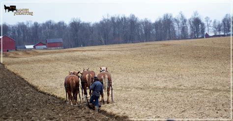 At the amish craftsman, our furniture is made to order just for you. Amish Farming. | Amish furniture, Amish builders, Houston ...