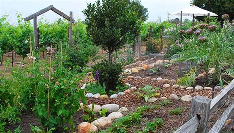Check spelling or type a new query. Southern California Gardening: Green Tips for Gardeners ...