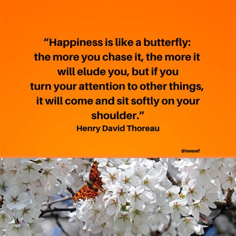 Happiness Is Like A Butterfly The More You Chase It The More It Will