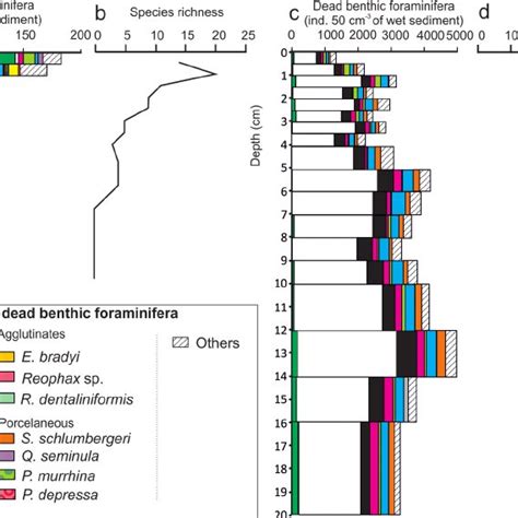 Benthic Foraminiferal Fauna Characteristics Of Core Fc Wh A