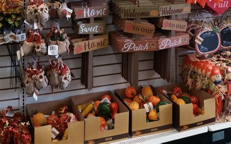 Fall Decorating Dollar Tree Style Get More For Less