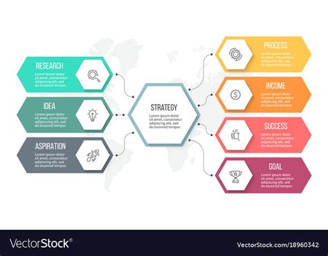 Business Infographic Organization Chart With 7 Vector Image