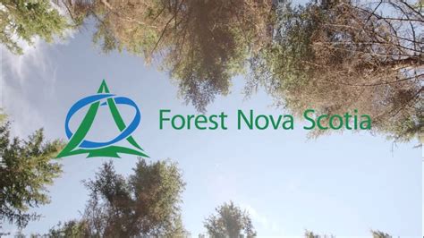 Taking Good Care Of Our Forests Forest Nova Scotia Youtube