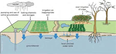 Figure 5 Causes Of Irrigation Salinity Reproduced From 35