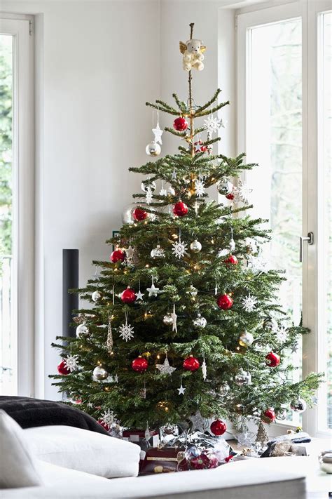 The 25 Best Real Christmas Tree Ideas On Pinterest Diy Pine